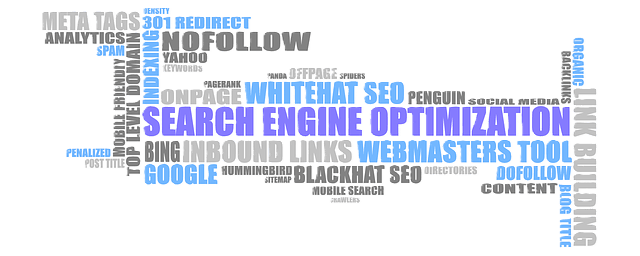 palabras SEO agencia seo